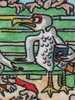 When seagulls have lunch in the park.