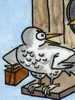 Adolescent homing pigeons.